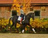 dressage horse Allure (Trakehner, 2006, from Connery)