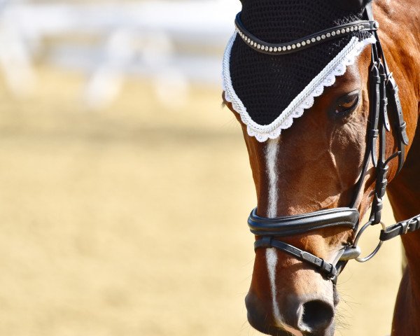 dressage horse Derano (Rhinelander, 2007, from Del Cento)