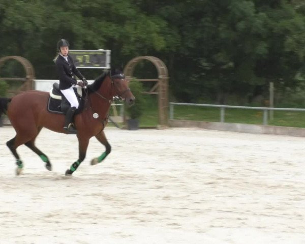 Reitturnier Öpfingen 2017