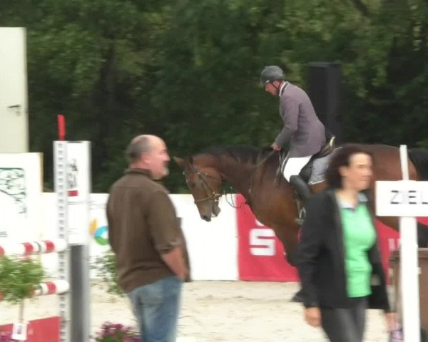 Reitturnier Öpfingen 2017