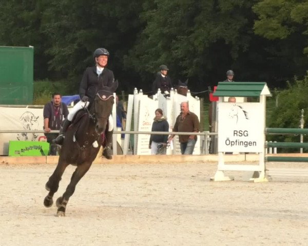 Reitturnier Öpfingen 2017