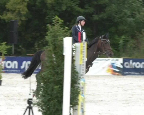 Reitturnier Öpfingen 2017