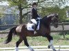 dressage horse Di Napoli HRH (Hanoverian, 2009, from Desperados FRH)