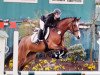 jumper Chloé 6 (German Riding Pony, 2009, from Classic Dancer I)