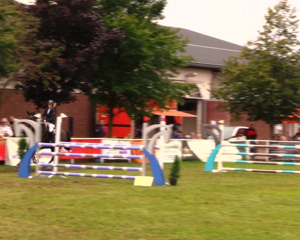 Reitturnier Münchehofe 2017
