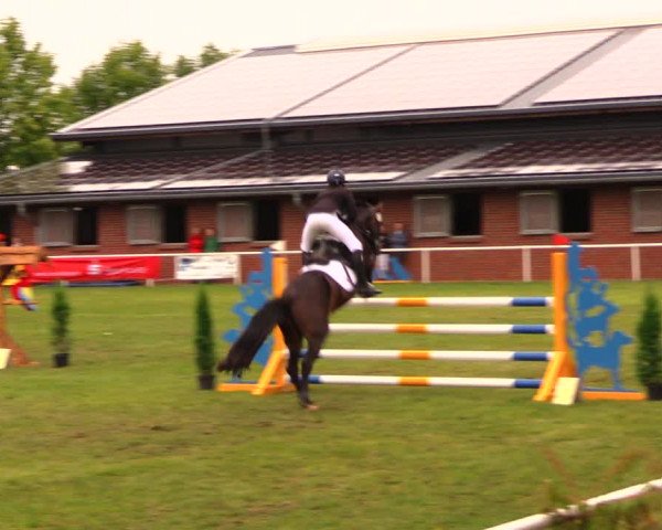 Reitturnier Münchehofe 2017