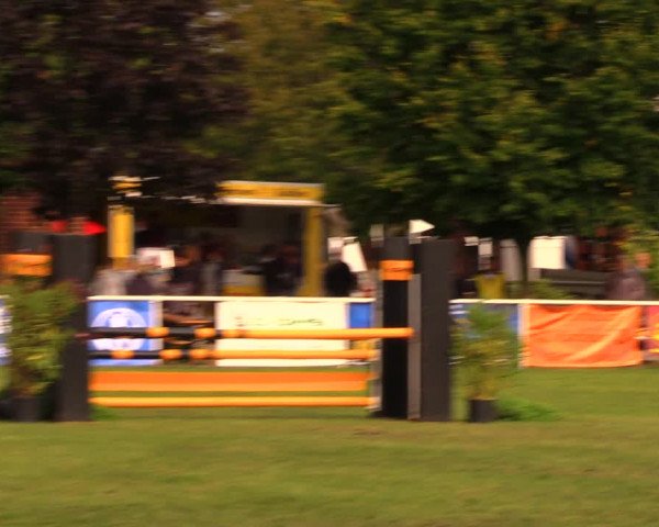 Reitturnier Münchehofe 2017