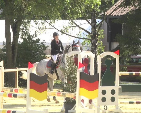 Reitturnier Walldorf/Winterheck 2017