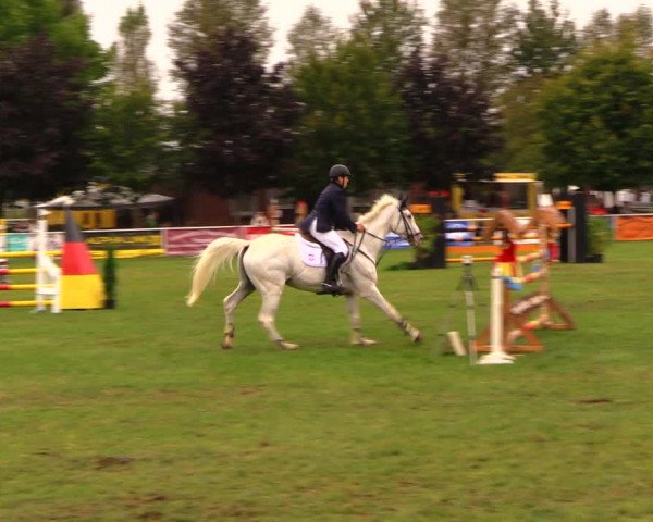 Reitturnier Münchehofe 2017