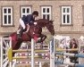 Springpferd Keep your Dream MB (Trakehner, 2007, von Buddenbrock)