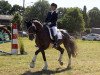 dressage horse Sidontini (Oldenburg, 2014, from San Amour I)