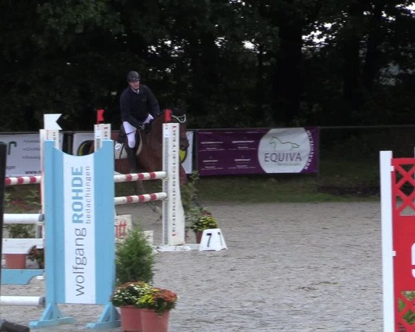 Reitturnier Meinerzhagen 2017