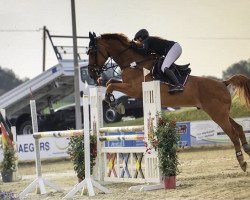 jumper Bacaro (Oldenburg show jumper, 2004, from Baloubet du Rouet)