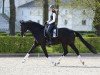 dressage horse Raban 30 (Mecklenburg, 2010, from Rodiste)