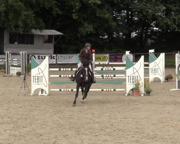 Reitturnier Meinerzhagen 2017