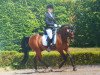 dressage horse Movie Star 25 (German Riding Pony, 2002, from Medoc)