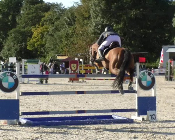 Reitturnier Öpfingen 2017