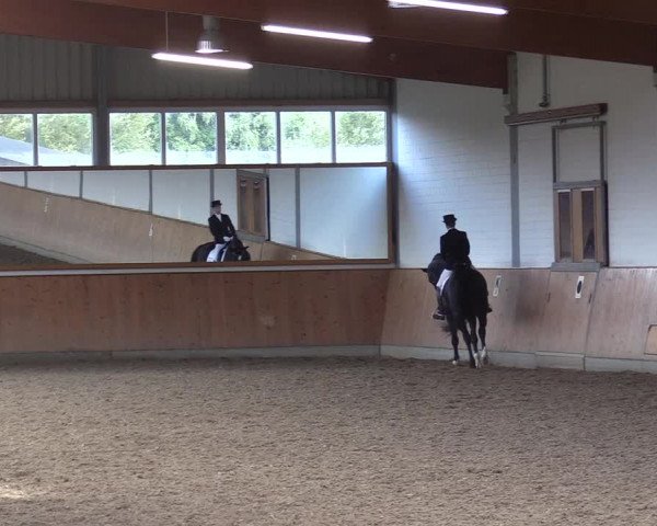 Reitturnier Gut Hohenkamp / Dorsten 2017