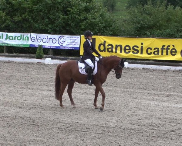 Reitturnier Hünsdorf-Ecurie Josy Hoffmann 2017