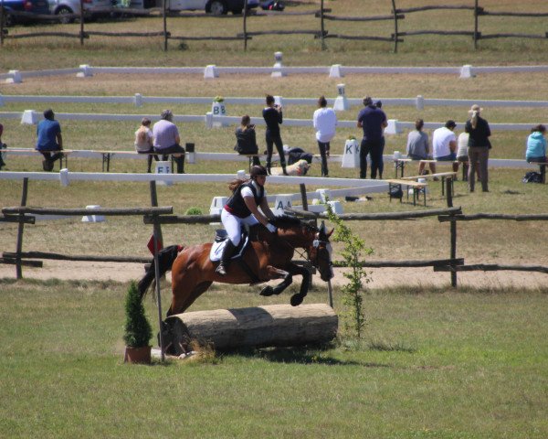 broodmare Akaja (Hanoverian, 2001, from Acorado I)