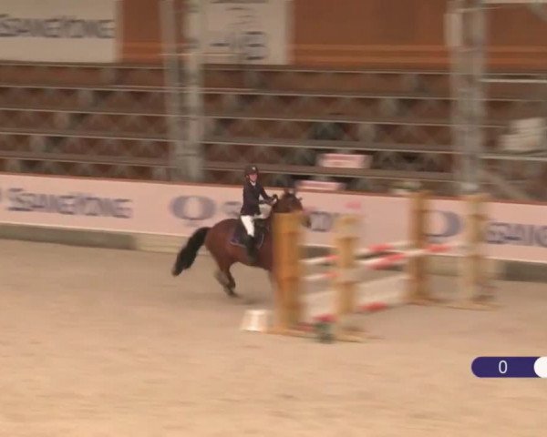 Video of Mirtosardo
