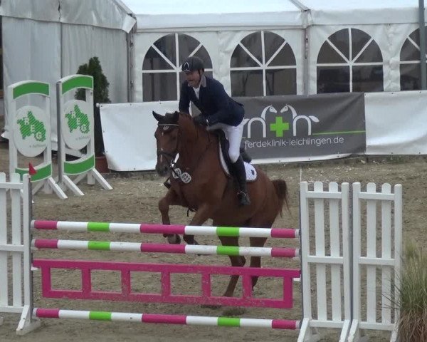 Reitturnier Leichlingen-Witzhelden 2017