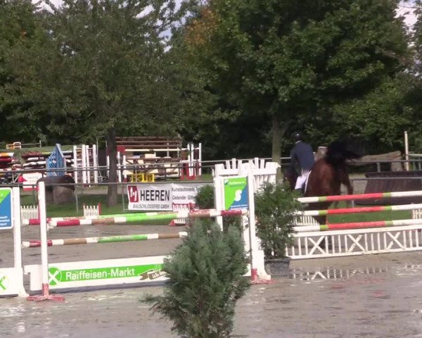 Reitturnier Appelhülsen 2017
