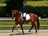 dressage horse Deleyla 3 (Württemberger, 2011, from Don Schufro)