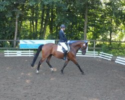 dressage horse Ronja 2318 (Westphalian, 2001, from Rockwell)