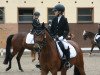 Dressurpferd Kastanienhof Campbell (Deutsches Reitpony, 2011, von FS Cracker Jack)