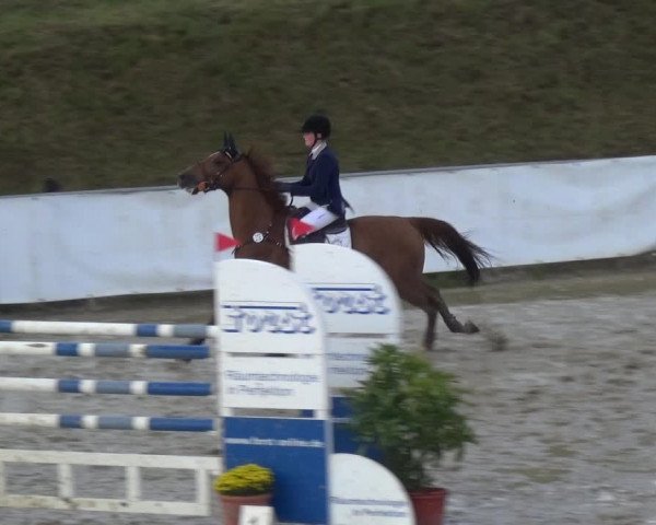 Reitturnier Leichlingen-Witzhelden 2017