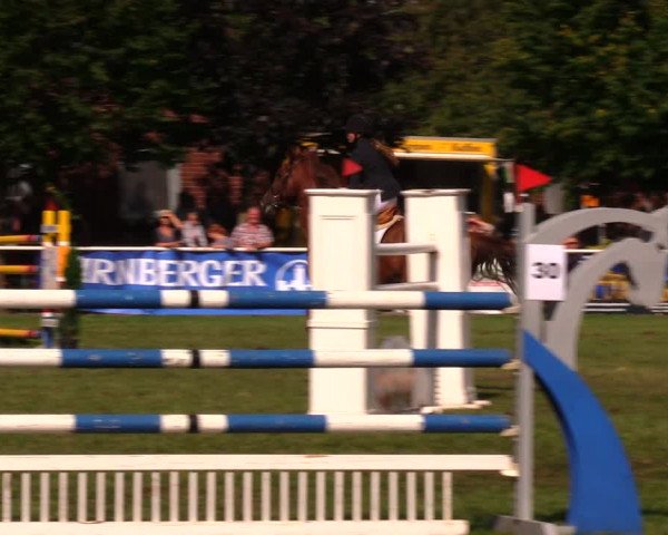 Reitturnier Münchehofe 2017