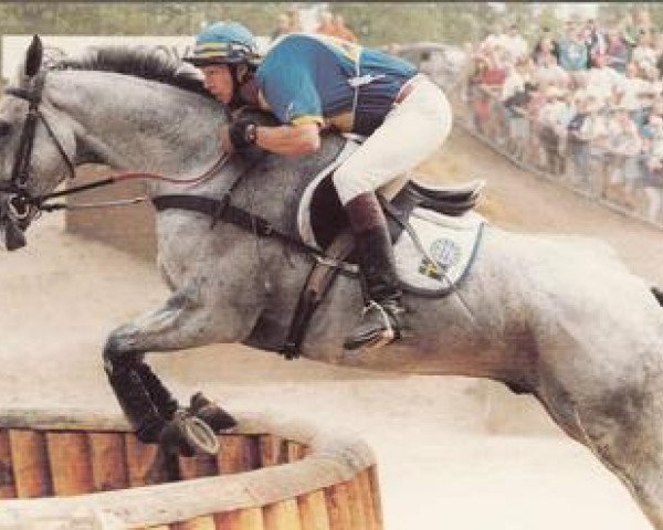 horse Nice 'n' Easy (Irish Sport Horse, 1984, from Bassompierre xx)