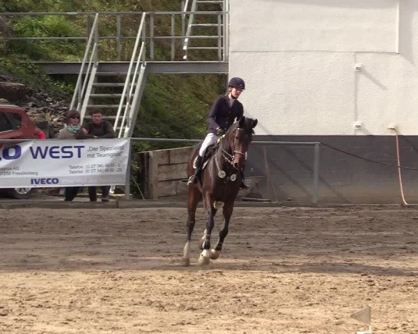 Reitturnier Siegen 2017