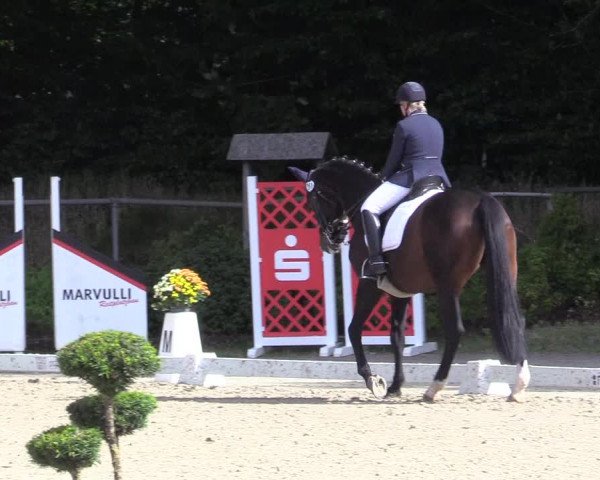 Reitturnier Meinerzhagen 2017
