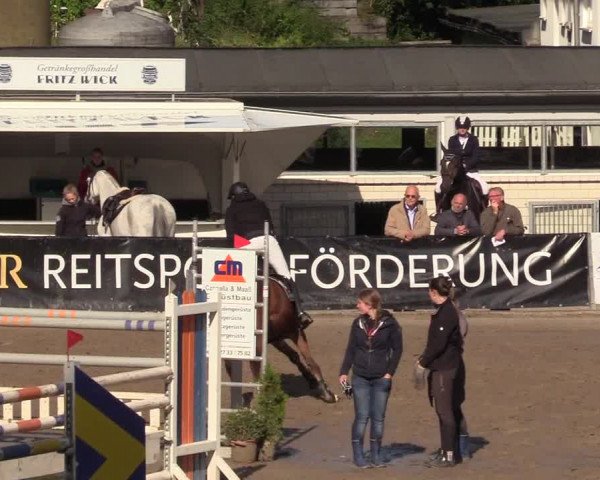 Reitturnier Siegen 2017