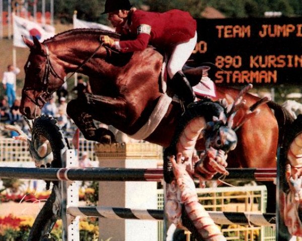 stallion Calypso (Westphalian, 1979, from Carrera)