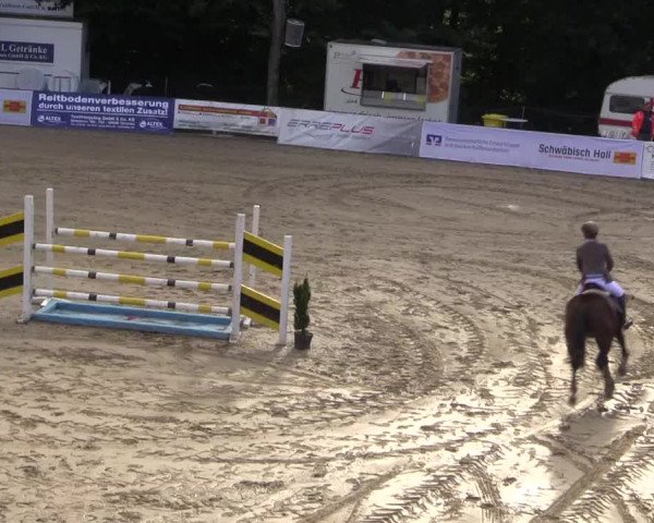Reitturnier Buchenhof-Ibbenbüren 2017
