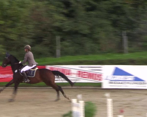 Reitturnier Buchenhof-Ibbenbüren 2017