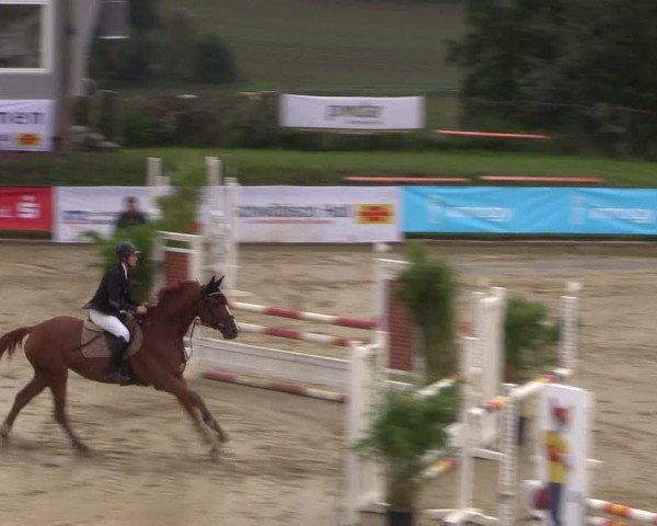 Reitturnier Buchenhof-Ibbenbüren 2017