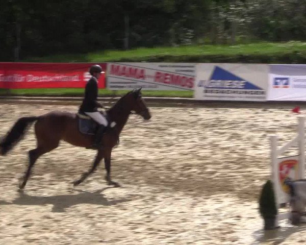 Reitturnier Buchenhof-Ibbenbüren 2017