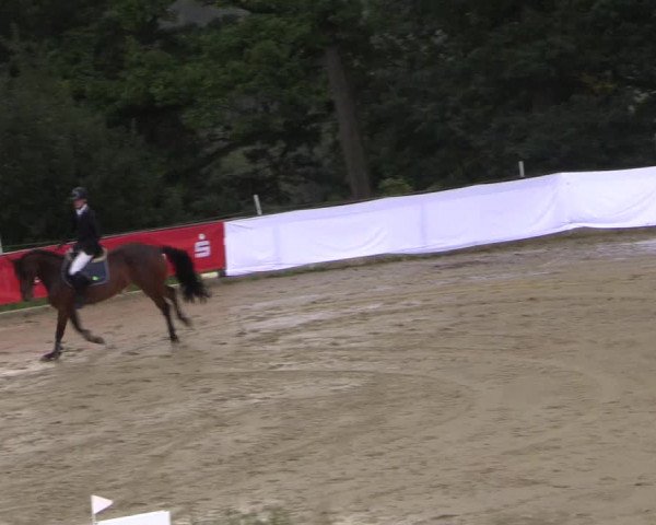 Reitturnier Buchenhof-Ibbenbüren 2017