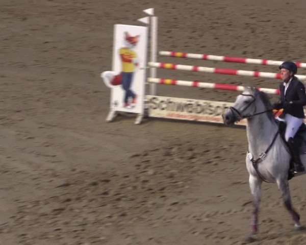 Reitturnier Buchenhof-Ibbenbüren 2017