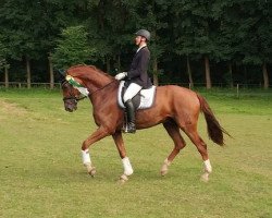 dressage horse Figo Bem Vestido (Hanoverian, 2012, from Florencio I)