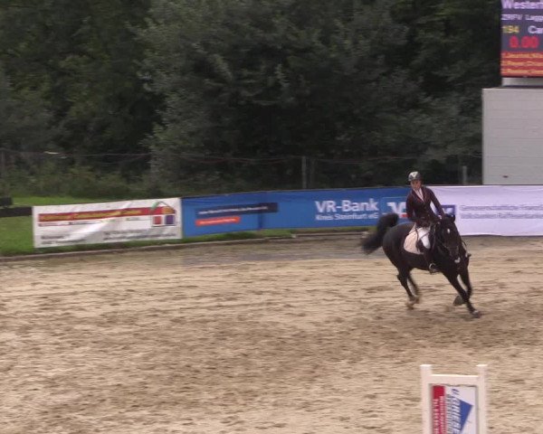 Reitturnier Buchenhof-Ibbenbüren 2017