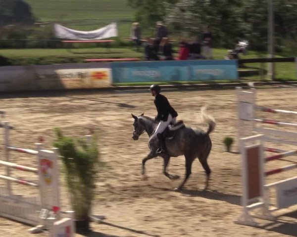Reitturnier Buchenhof-Ibbenbüren 2017