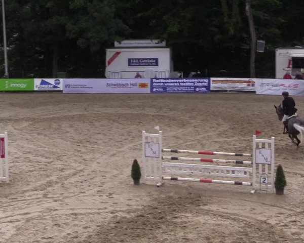 Reitturnier Buchenhof-Ibbenbüren 2017