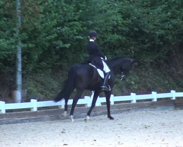 Reitturnier Mettmann - Reitanlage Löckenhoff 2017