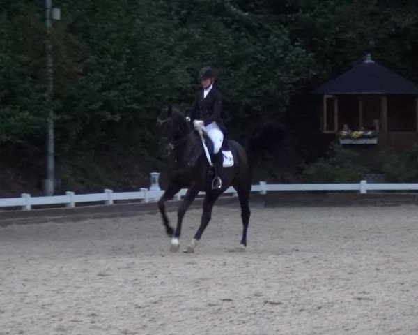 Reitturnier Mettmann - Reitanlage Löckenhoff 2017