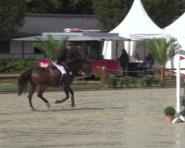 Reitturnier Köln - Reitanlage Brüse 2017